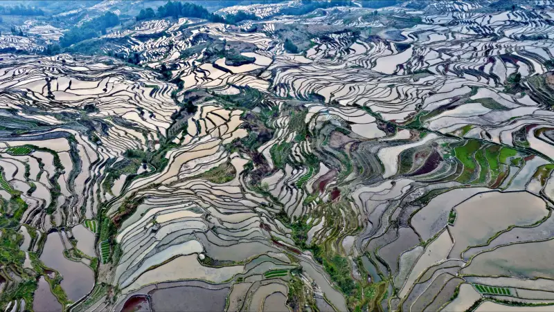 政企食堂整体承包方案设计：从菜单规划到标准化运营全流程解析
