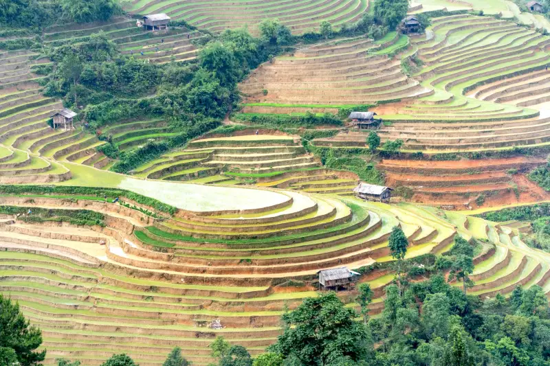 2025年政企食堂运营成本控制与食材集采策略解析