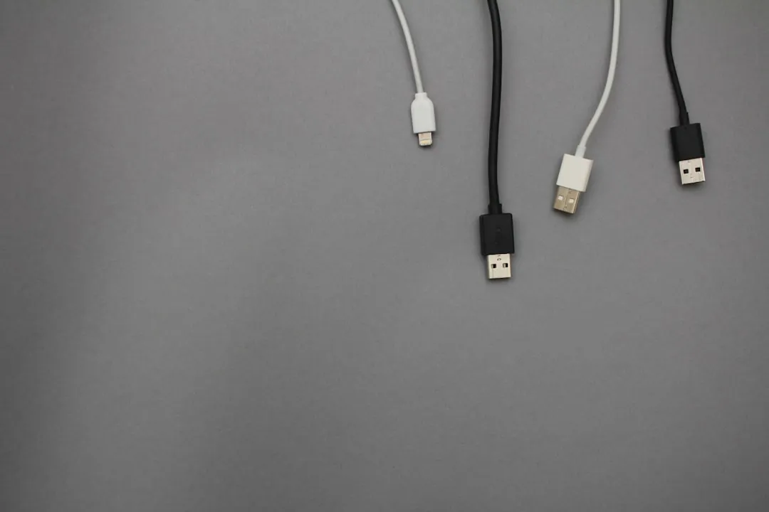 食堂承包服务对比：品牌运营与自主管理的效率与成本差异