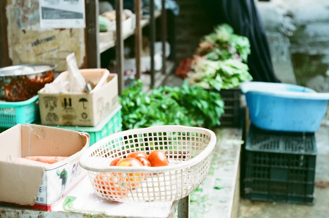 政企食堂承包运营方案：上海立分人员派驻与食材集采一体化服务解析正文配图 2